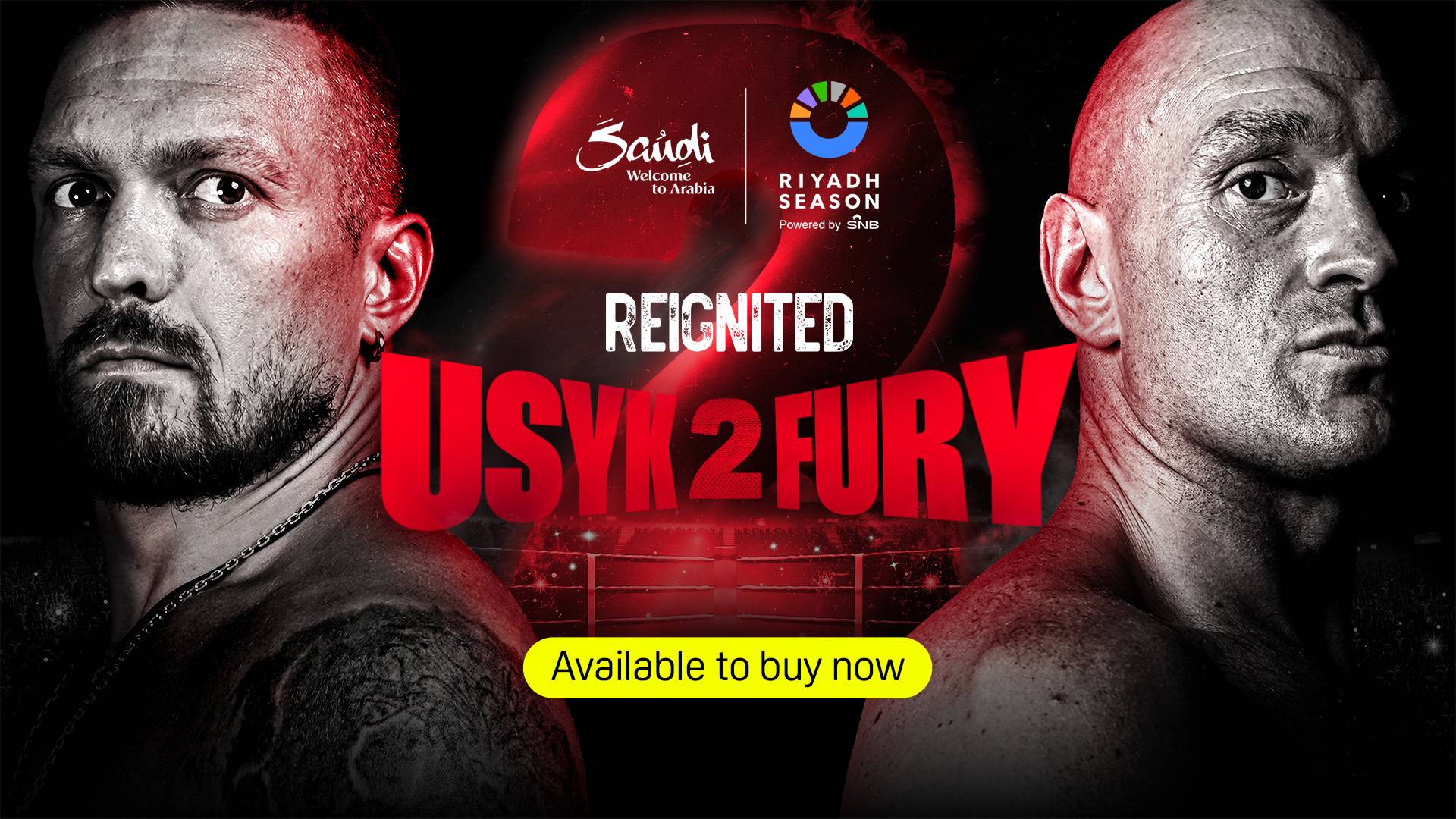 tyson fury poster 0033