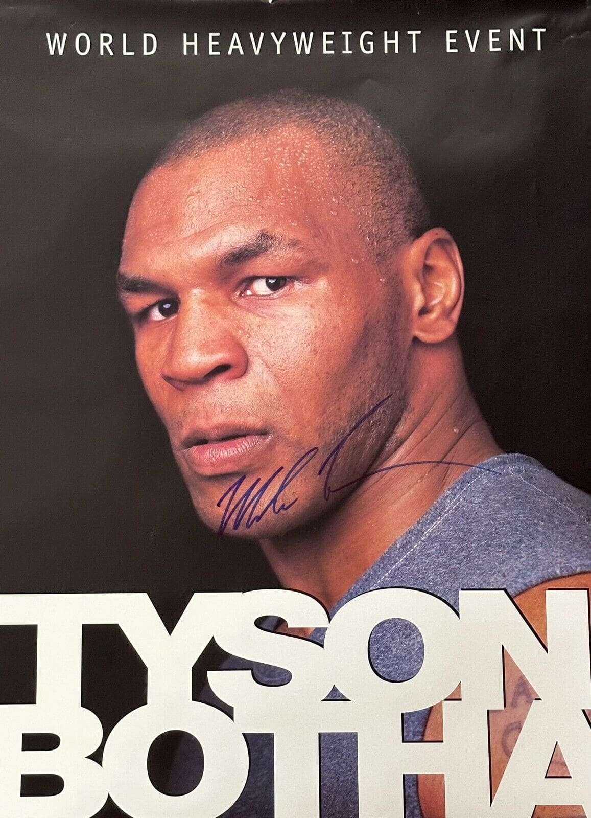 Tyson vs Botha analysis