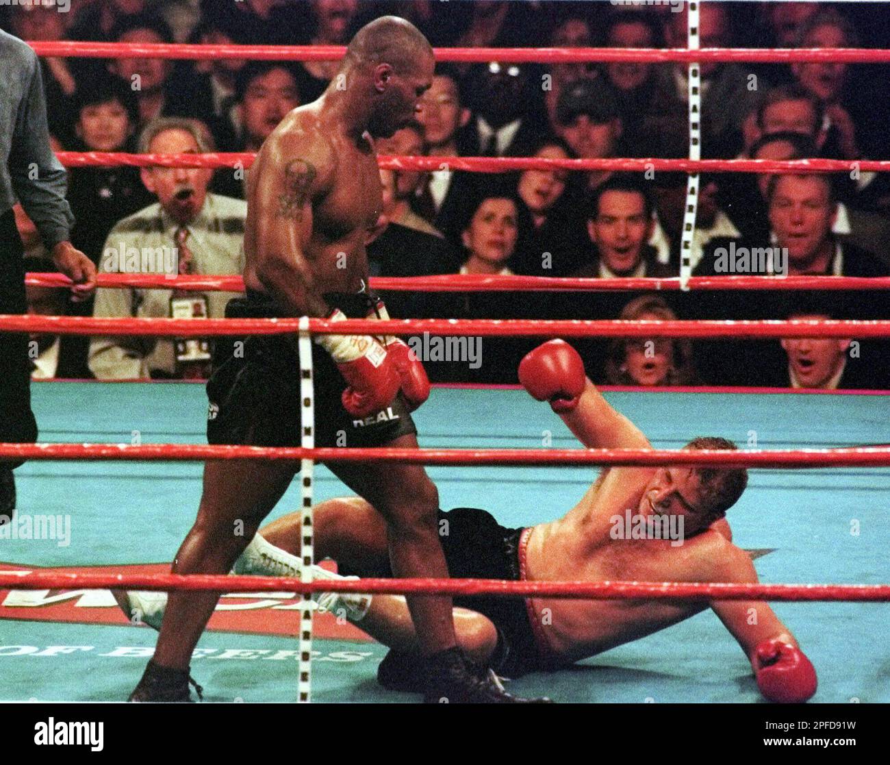 Tyson vs Botha prediction