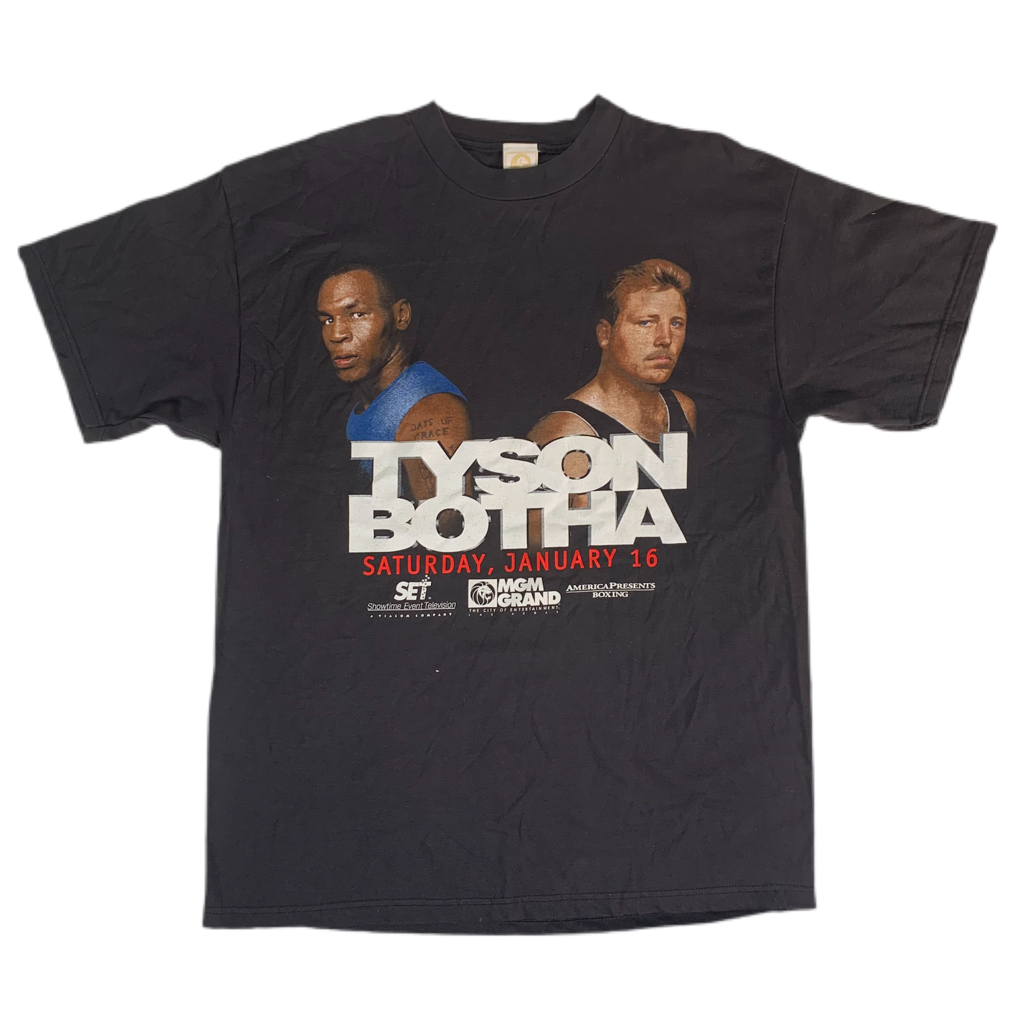 tyson vs botha 0009