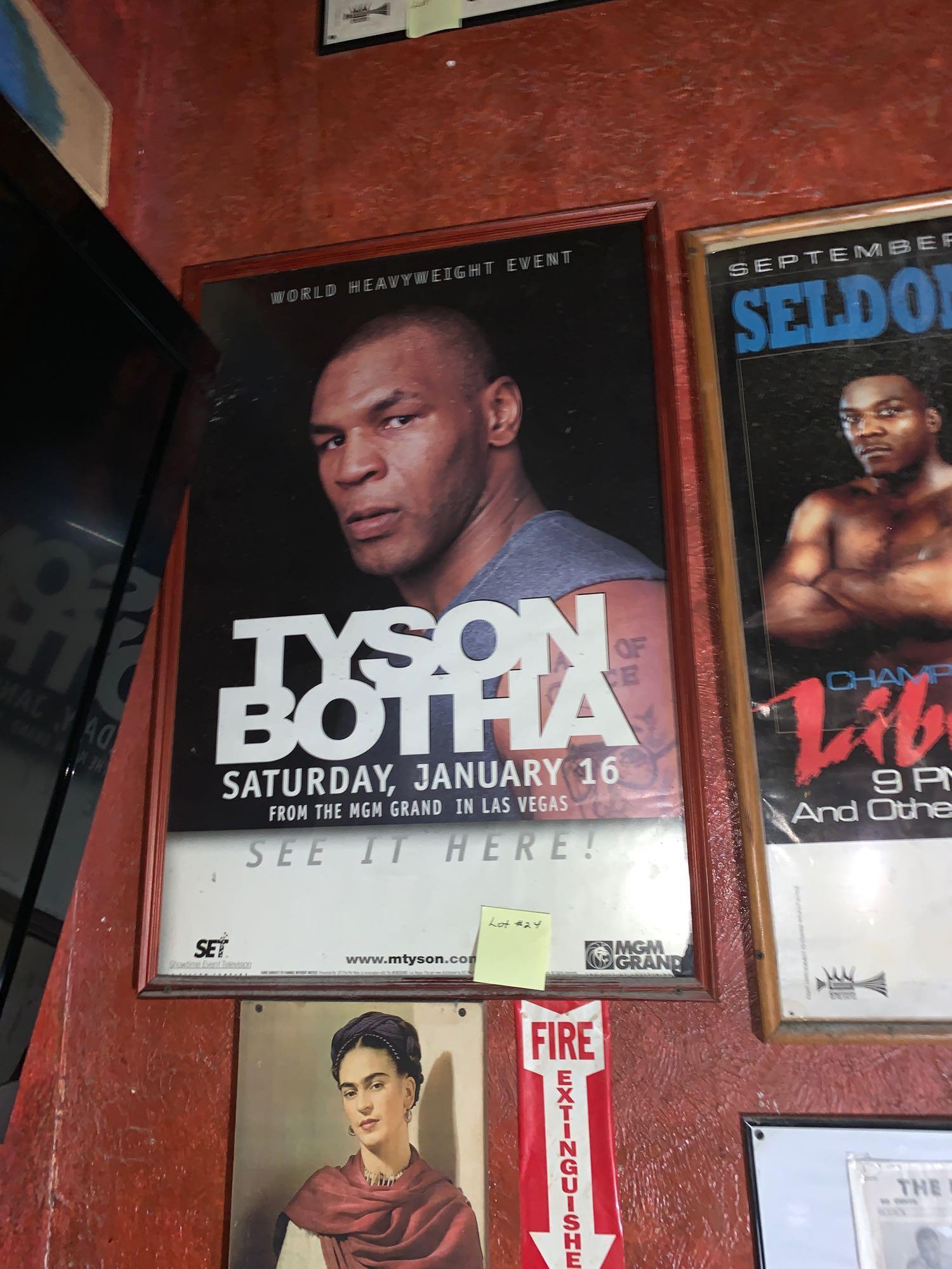 tyson vs botha 0042