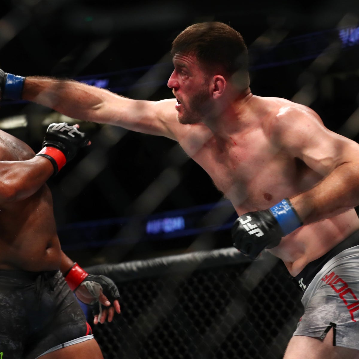 ufc 241 0019