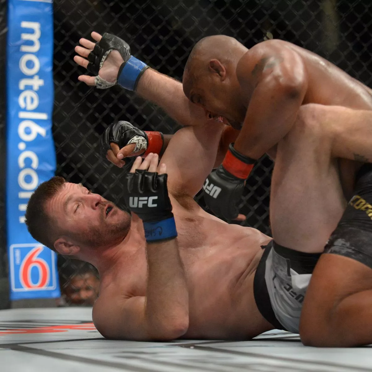 ufc 241 0032