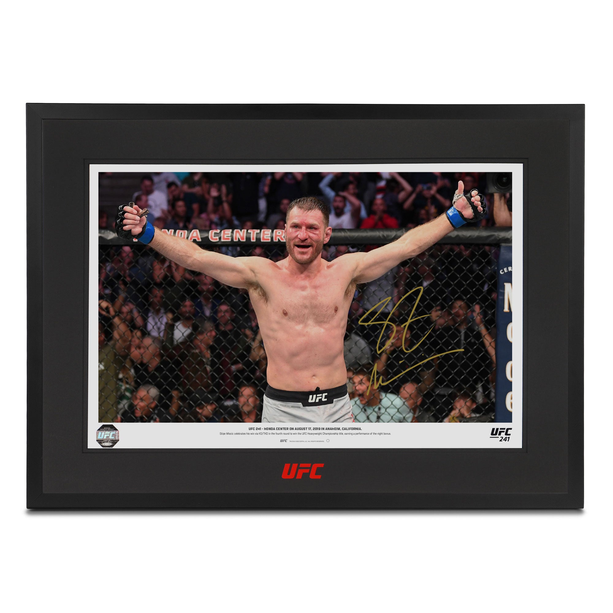 ufc 241 0033