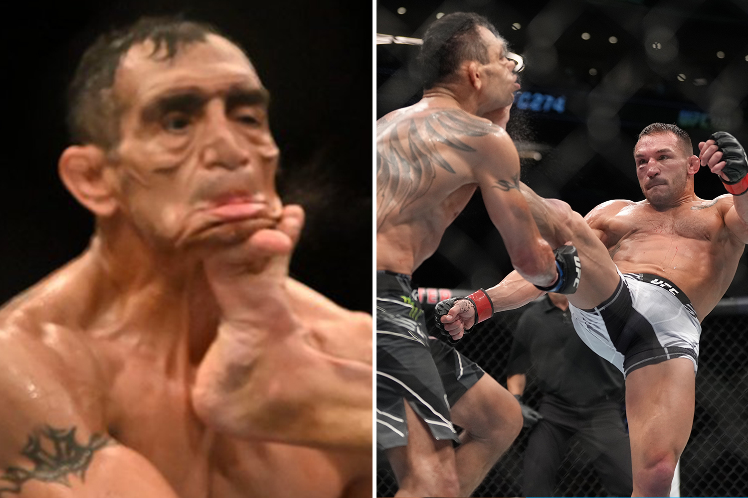 UFC knockout photography