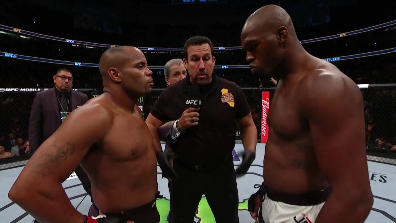 UFC light heavyweight title fight
