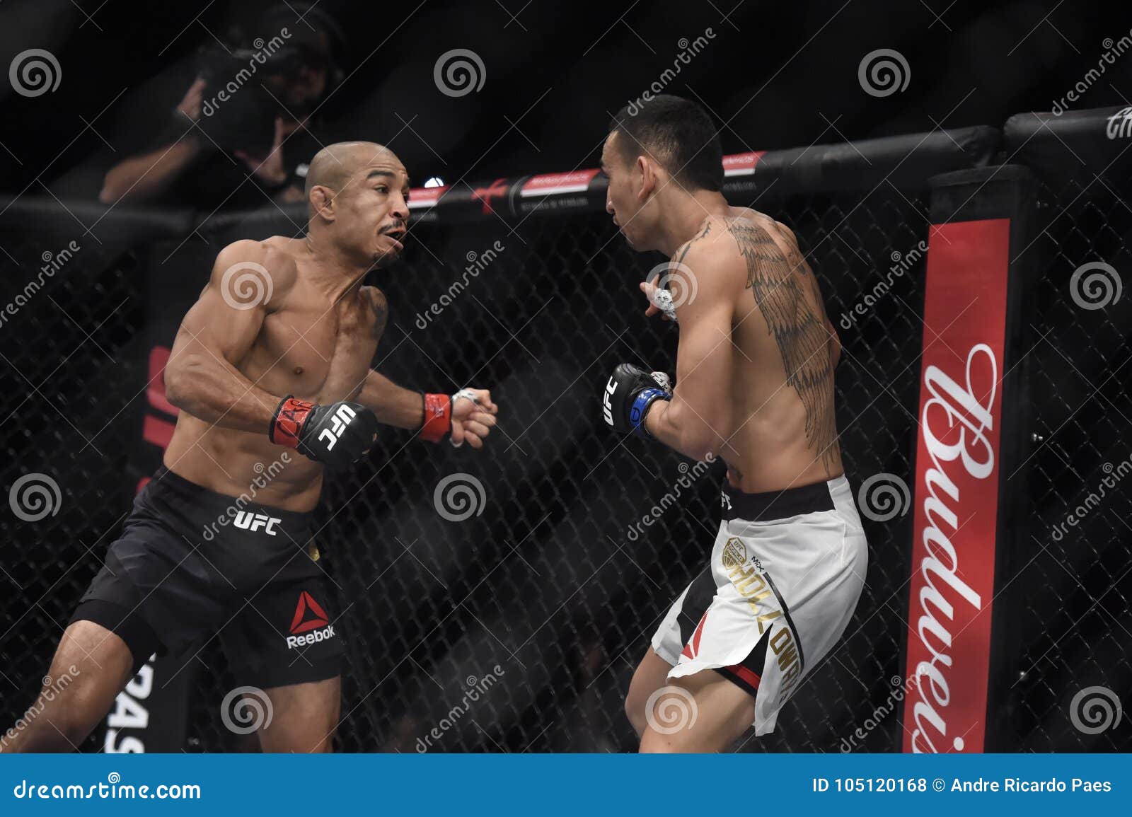 ufc rio de janeiro 0034