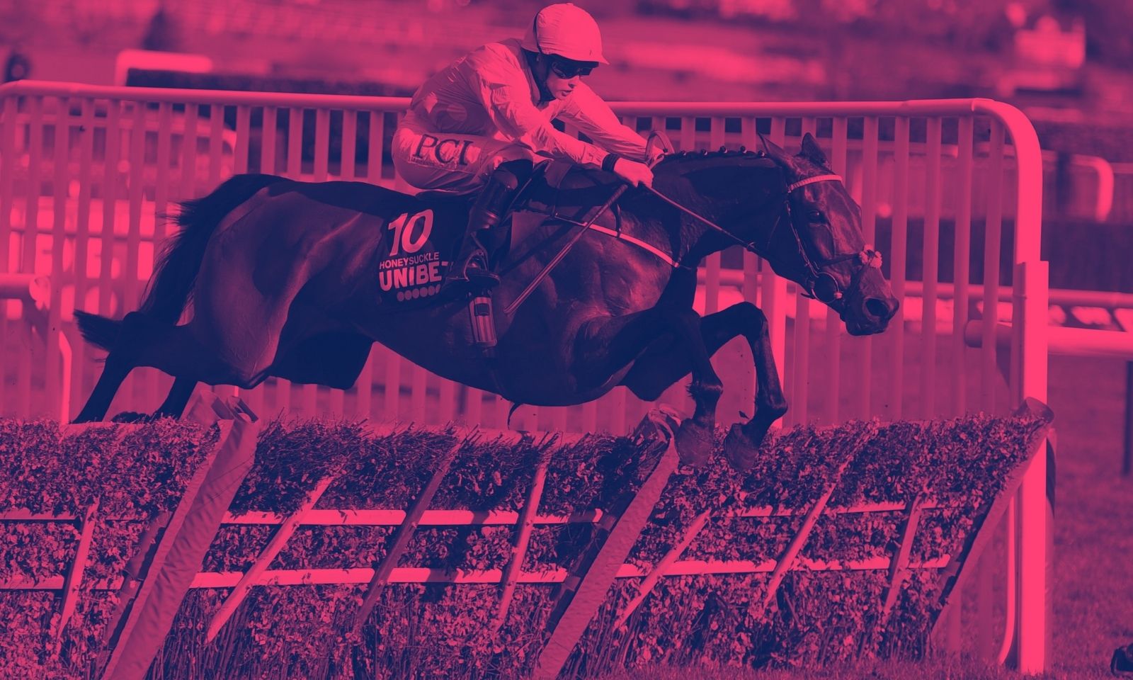ultima handicap chase 0036