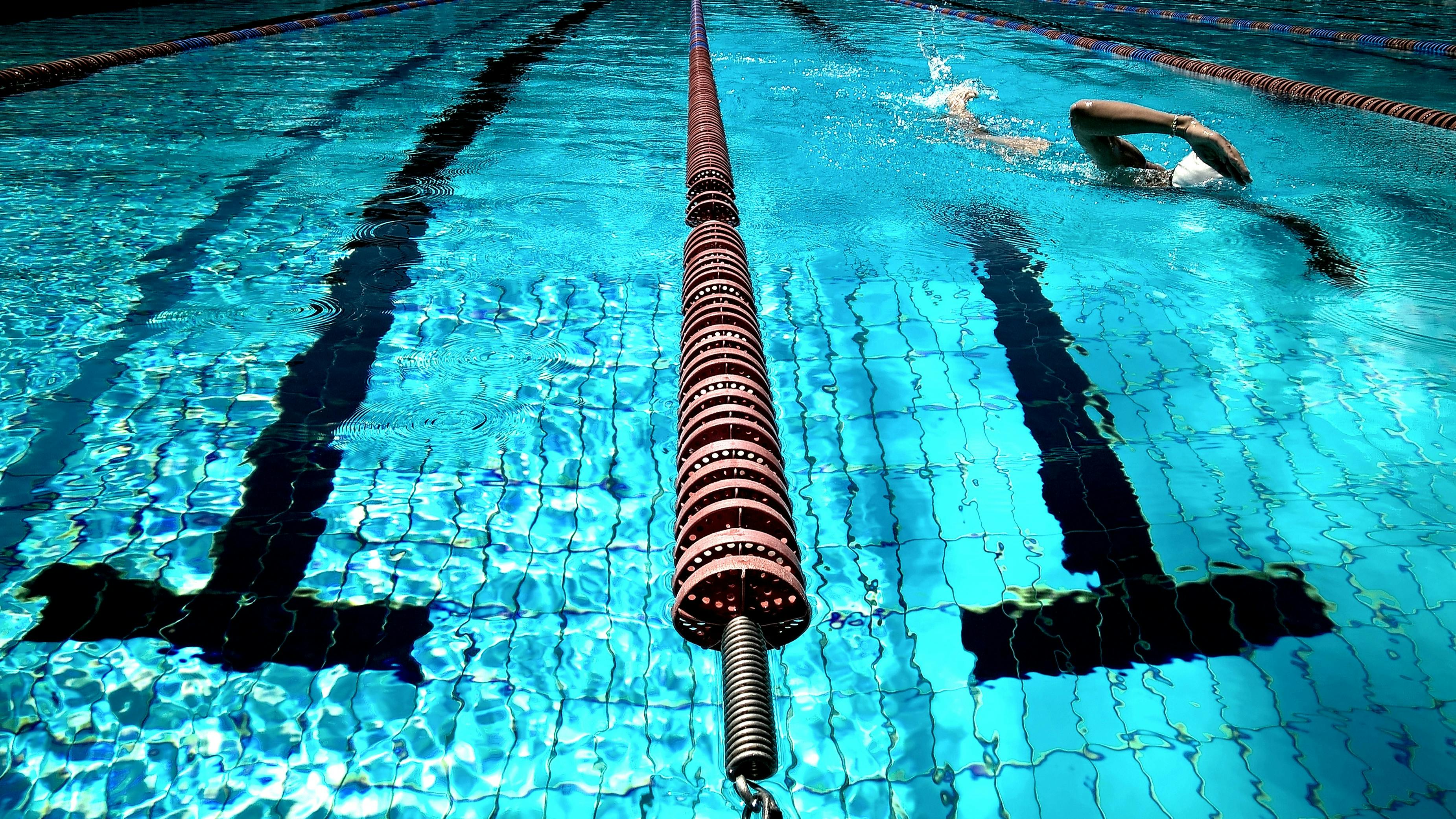 underwater photography wallpaper