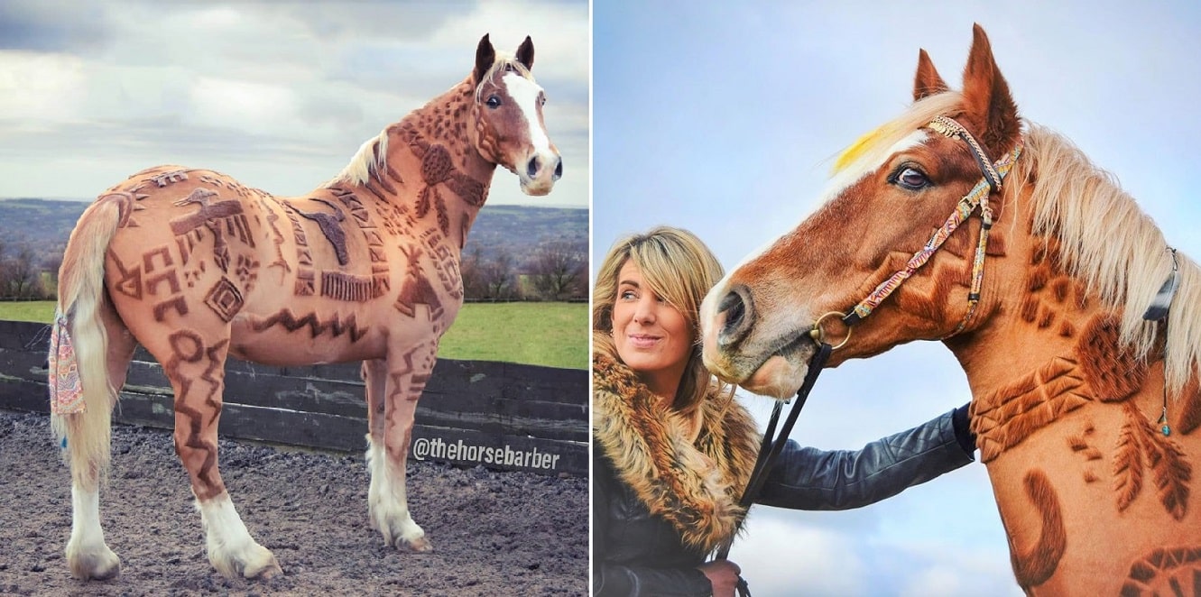unique horse cuts