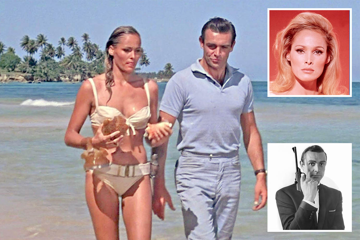 Ursula Andress biography
