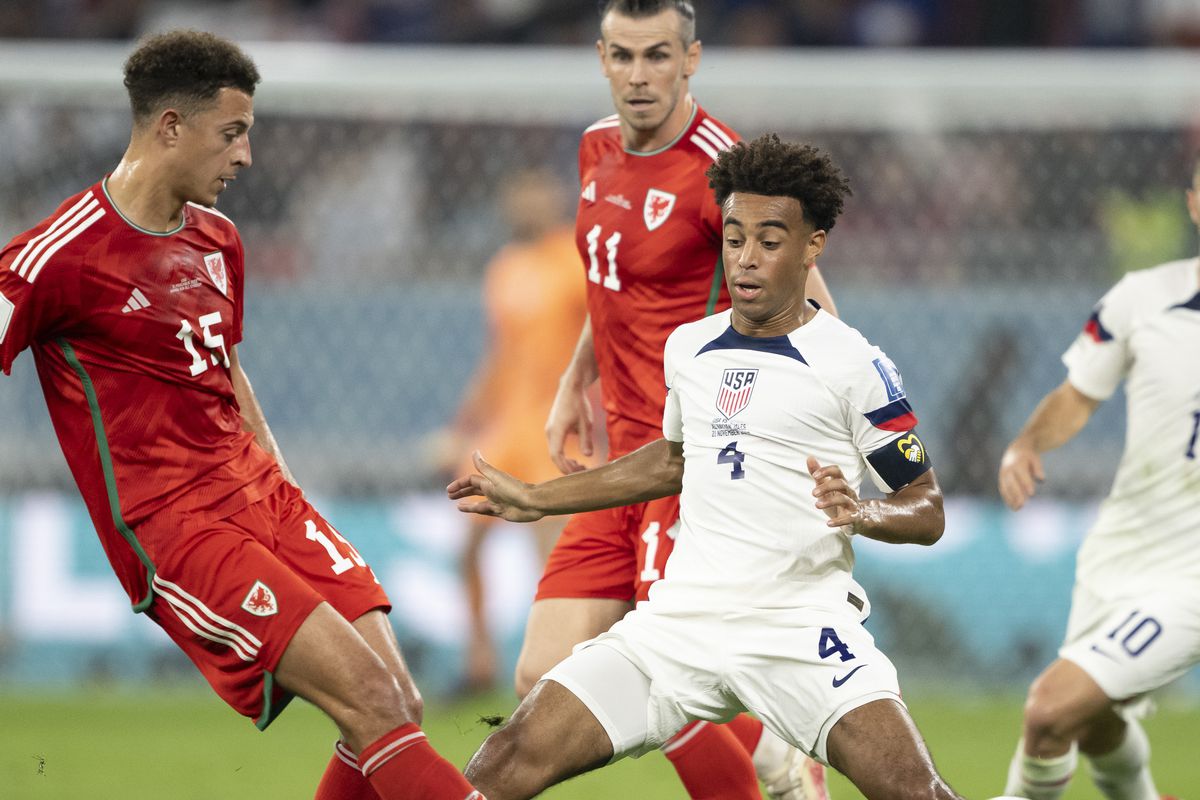 usa v wales