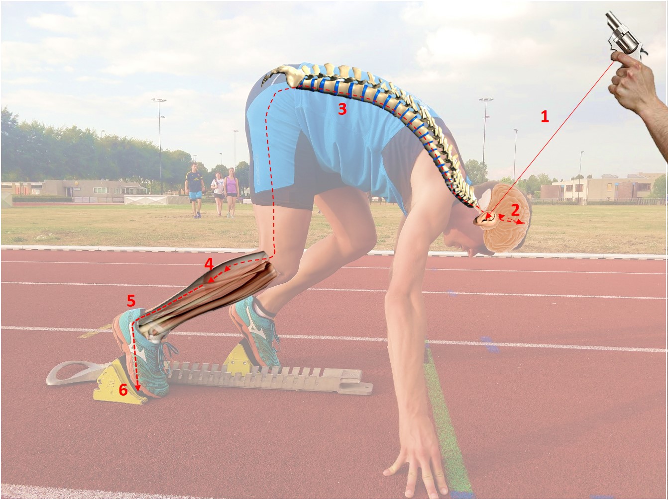 usain bolt false start 0012