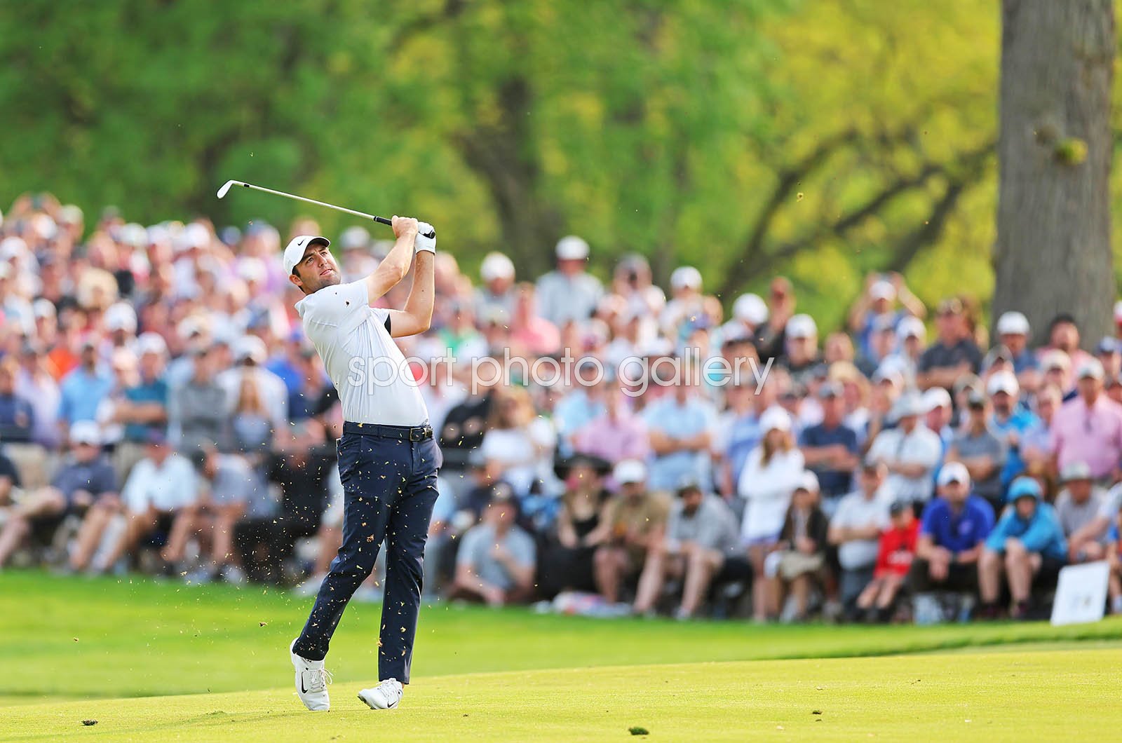 USPGA Championship 2023 predictions