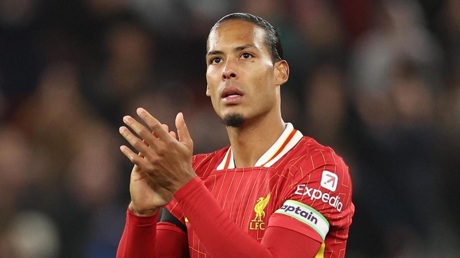 van Dijk fan art