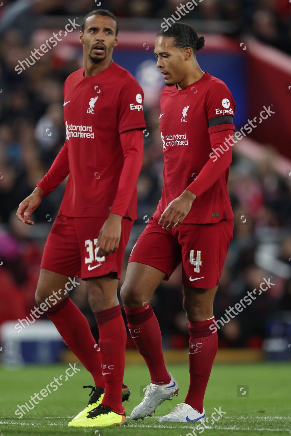 van Dijk photo 0019