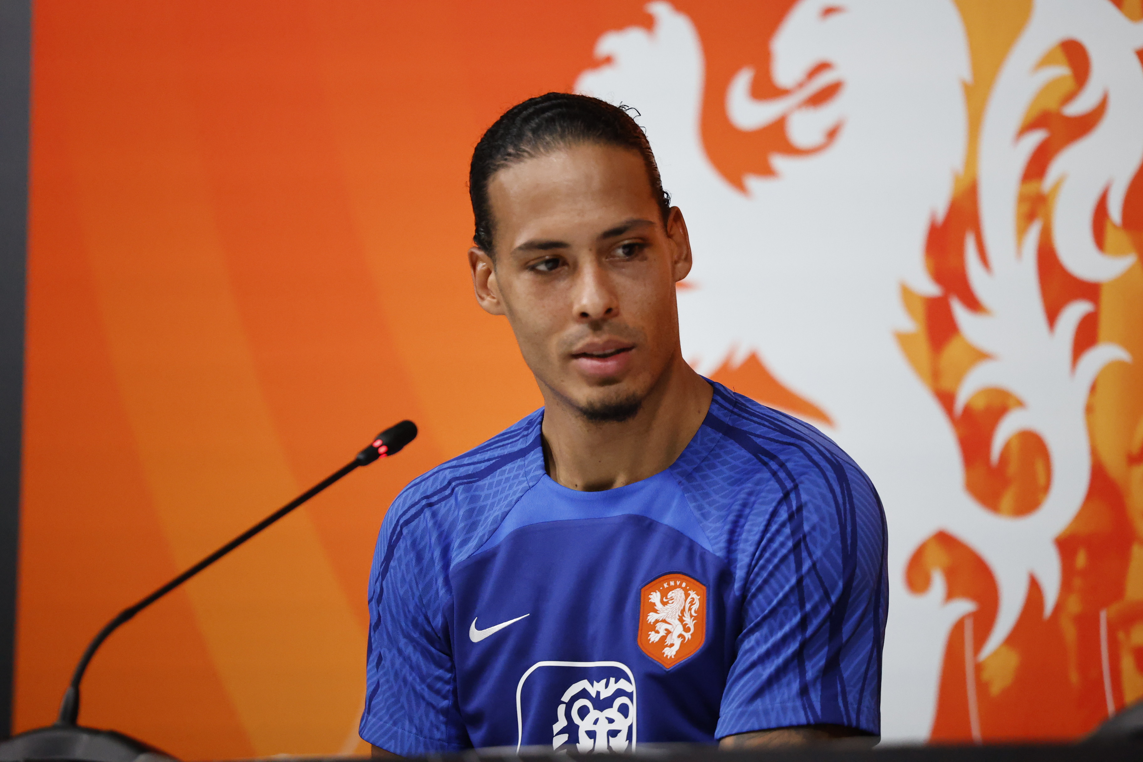 van Dijk photo 0079