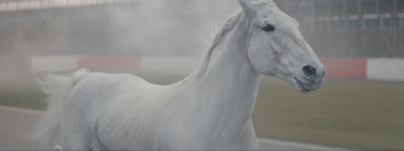 verstappen horse 0043