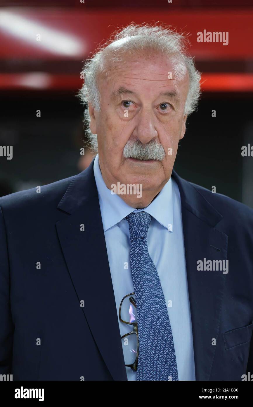 Vicente del Bosque 0017