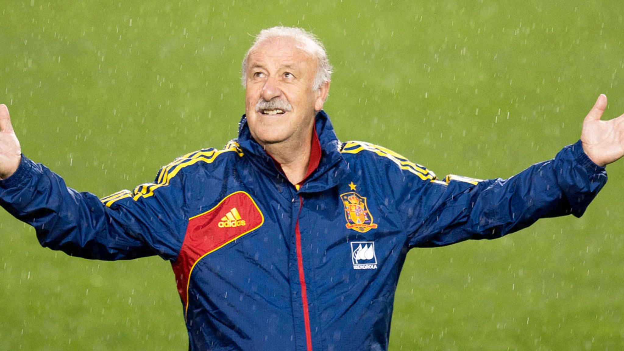 Vicente del Bosque 0022