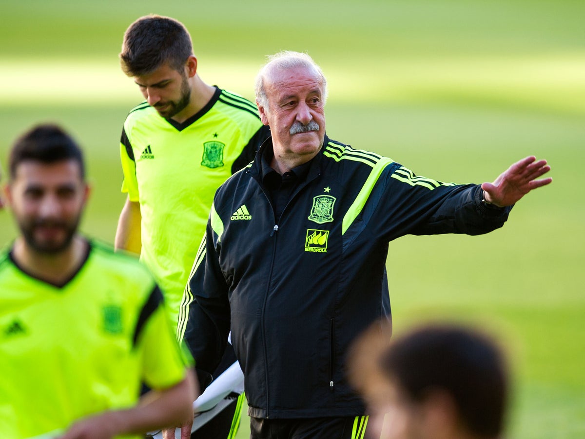 Vicente del Bosque 0027