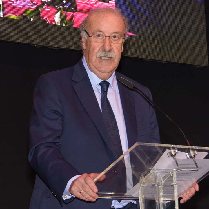 Vicente del Bosque 0030