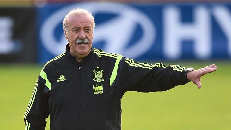 Vicente del Bosque 0033