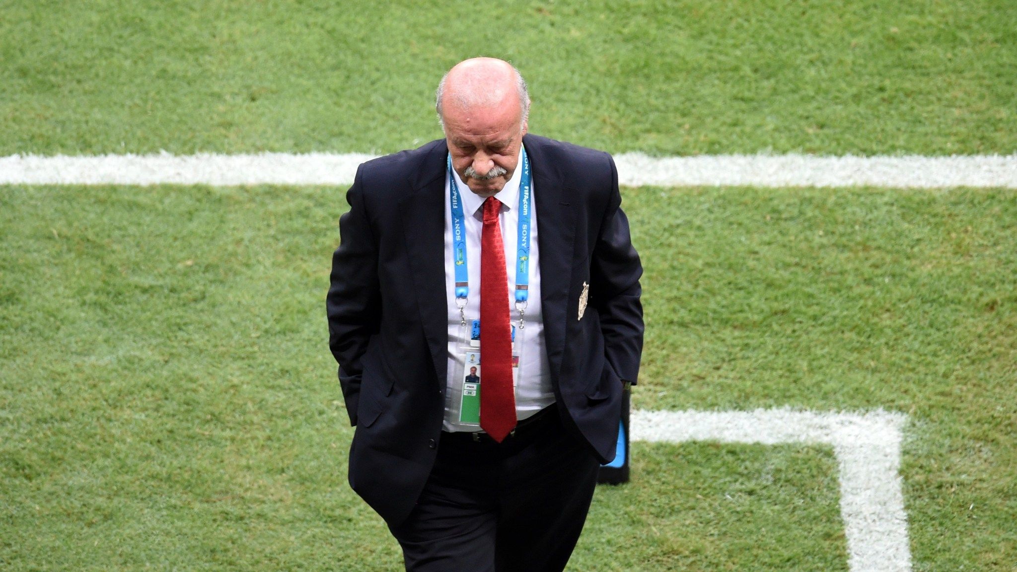 Vicente del Bosque 0040