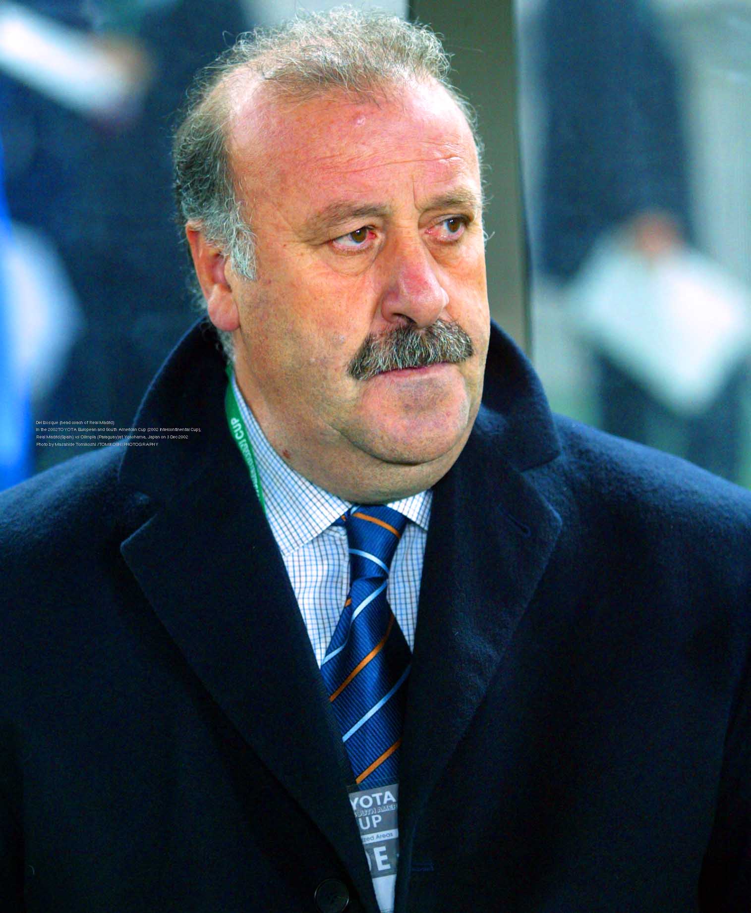 Vicente del Bosque 0045
