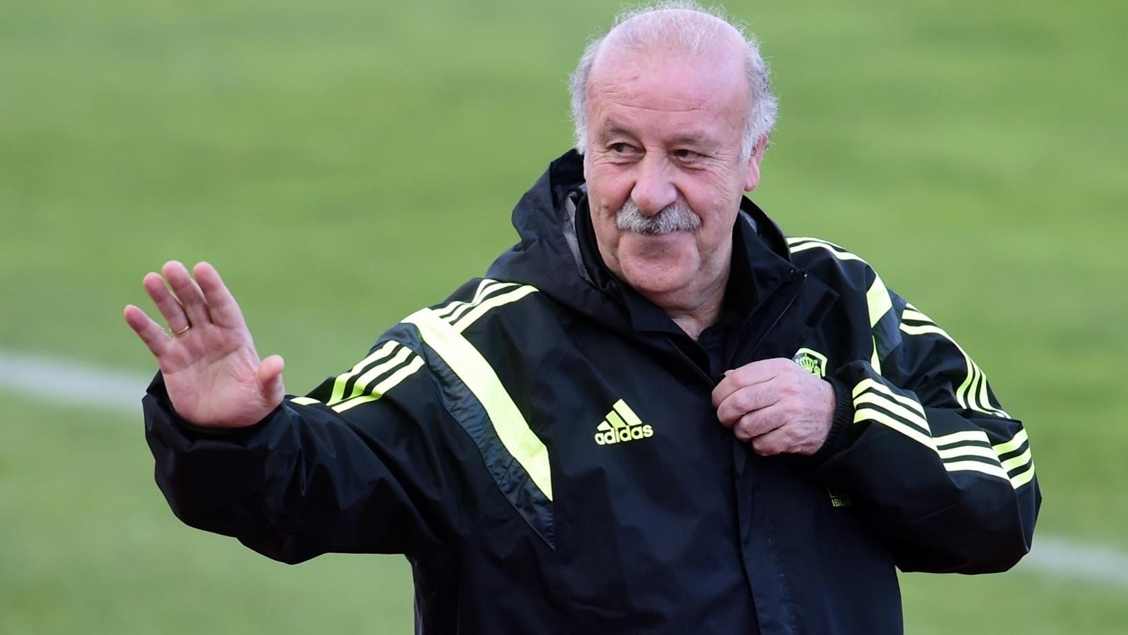 Vicente del Bosque 0047