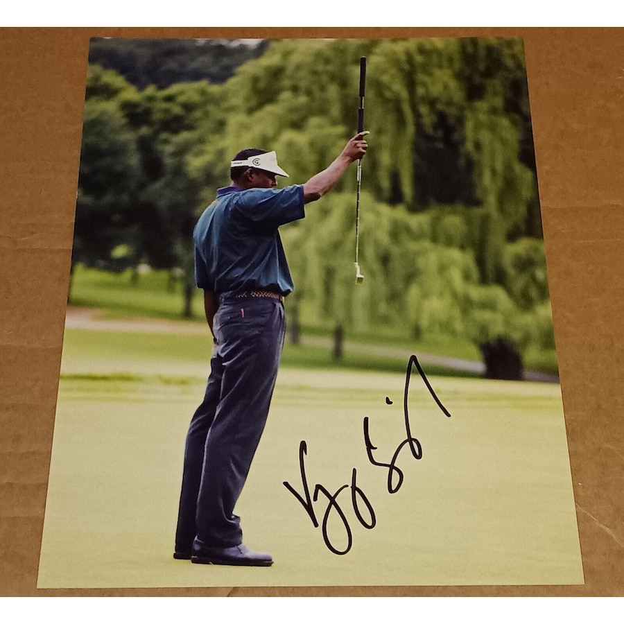 Vijay golfer 0038