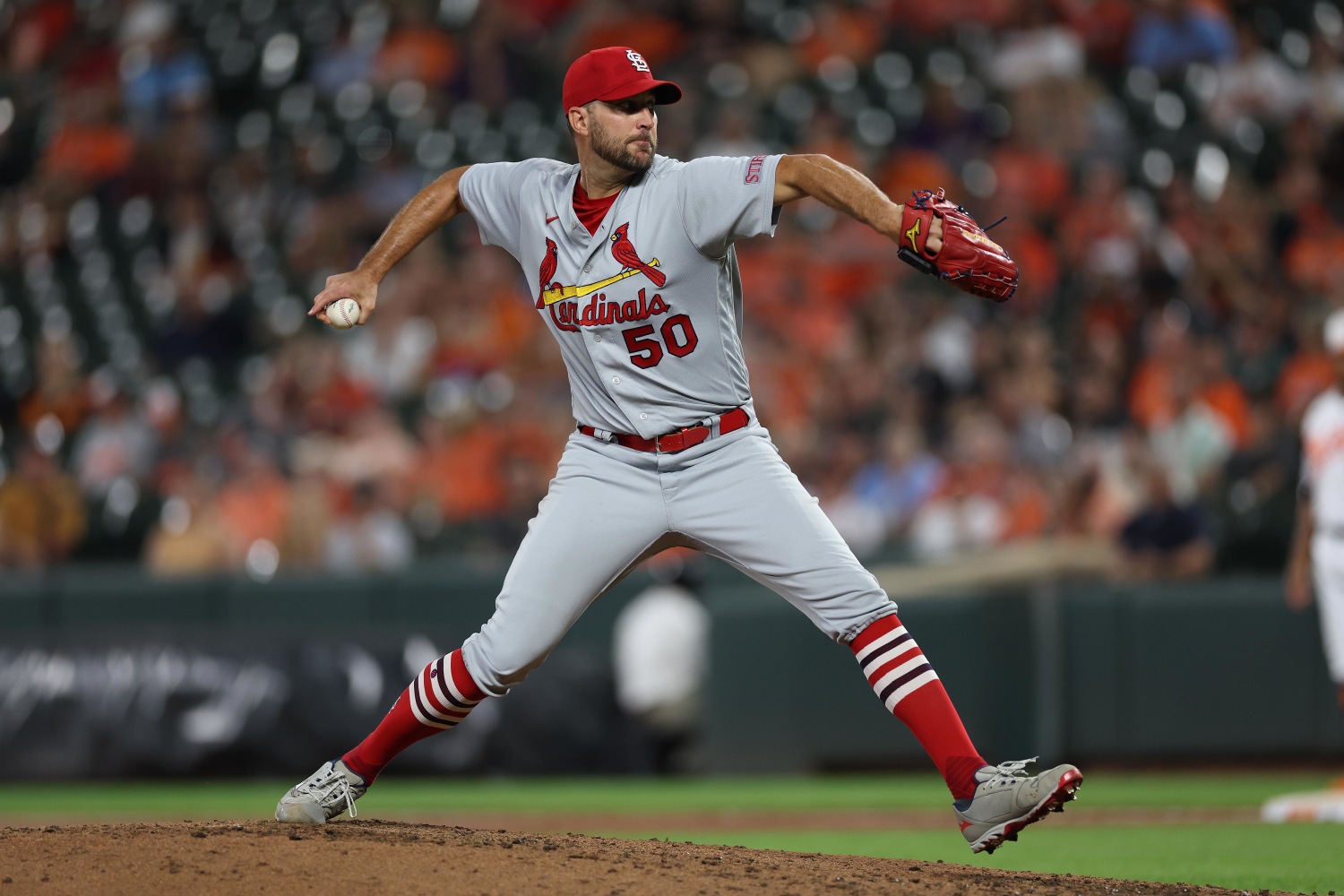 wainwright images 0013