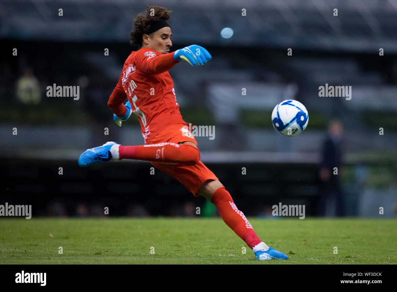 wallpaper ochoa