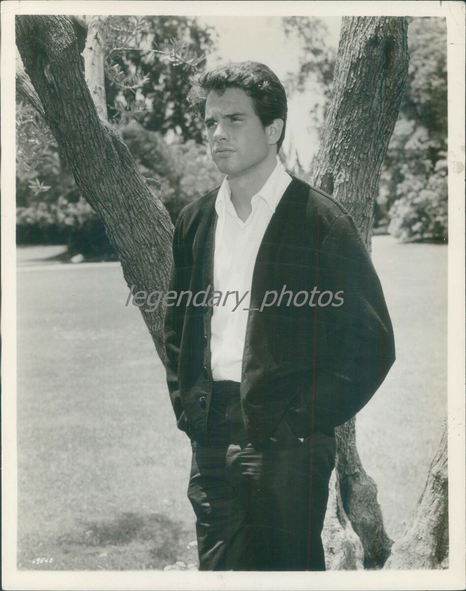 warren beatty young photos 0013