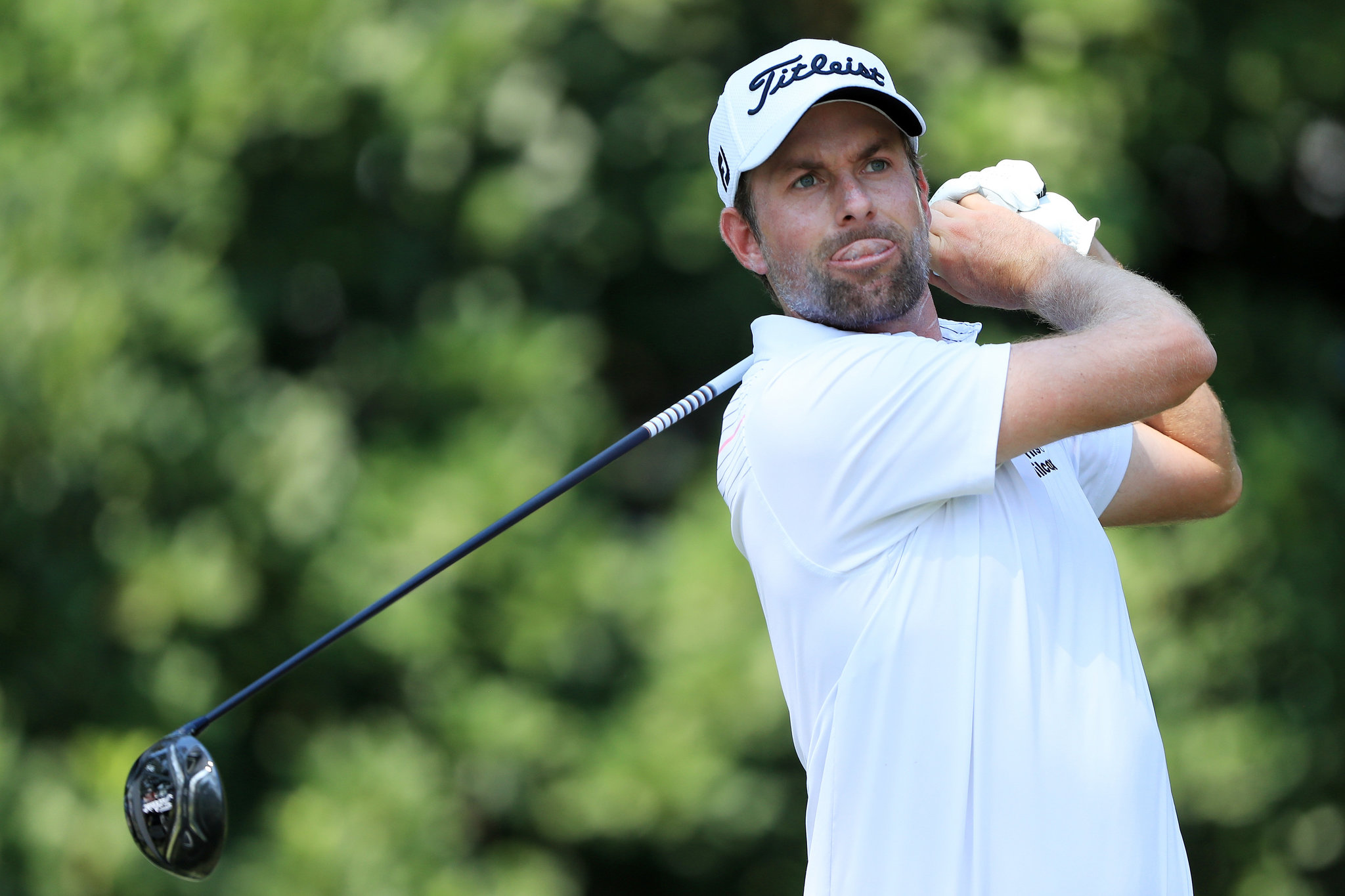 Webb Simpson performance