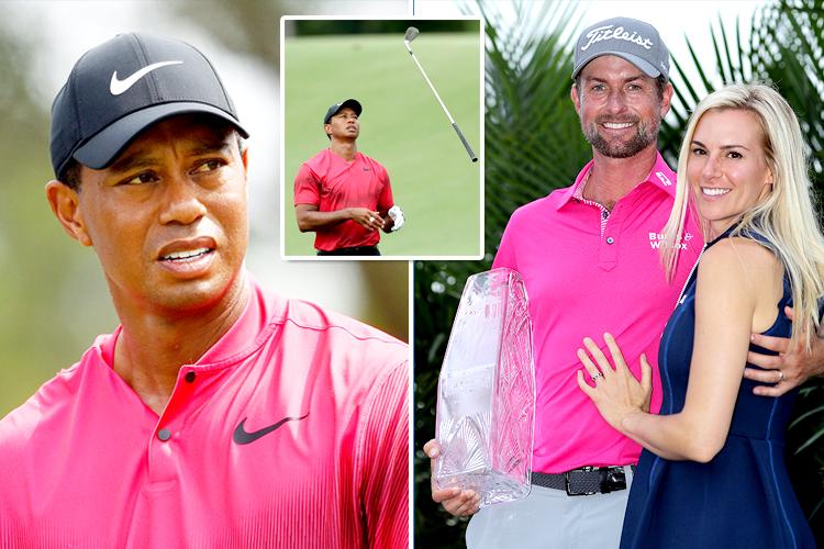 webb simpson players championship 0015