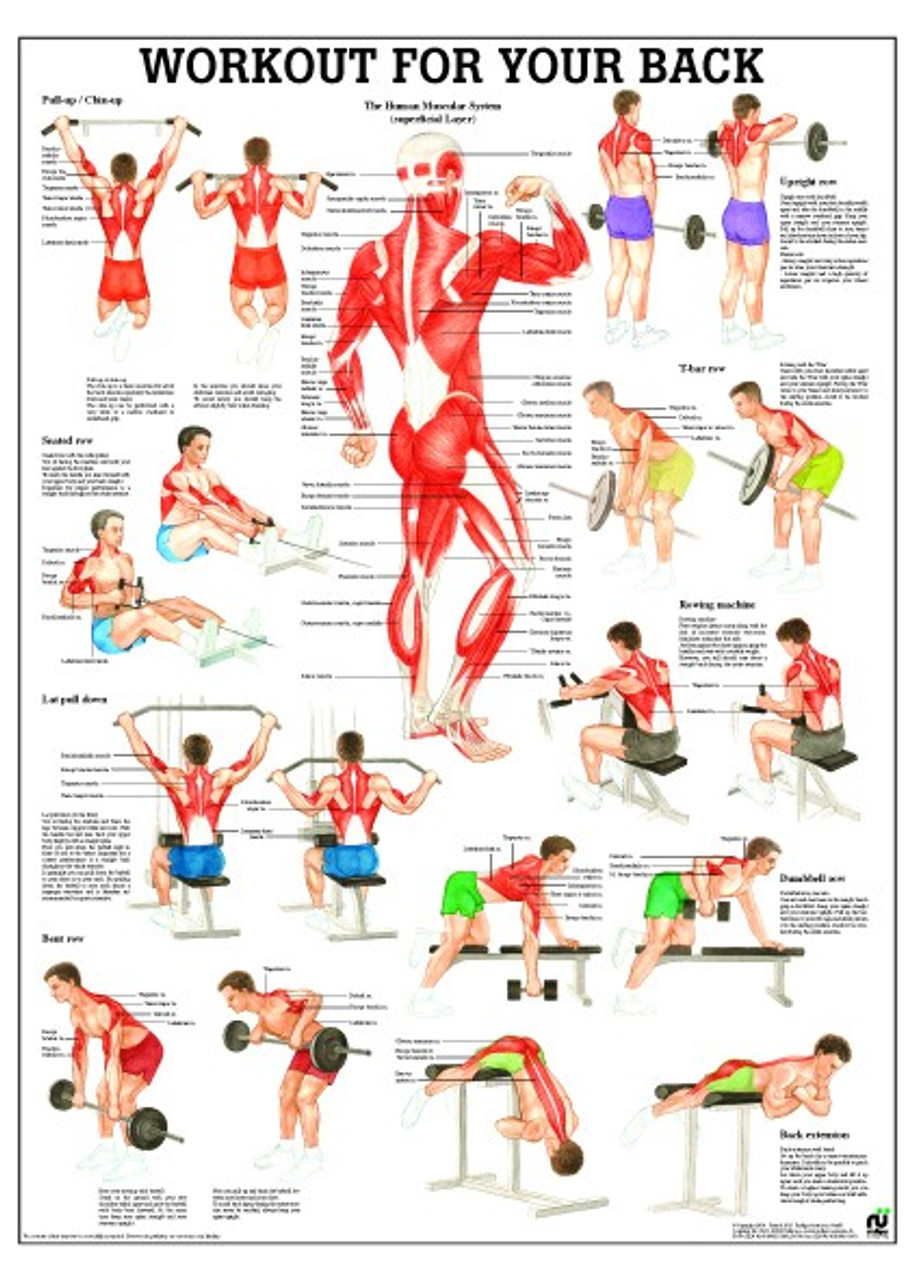 weightlifting posters 0047