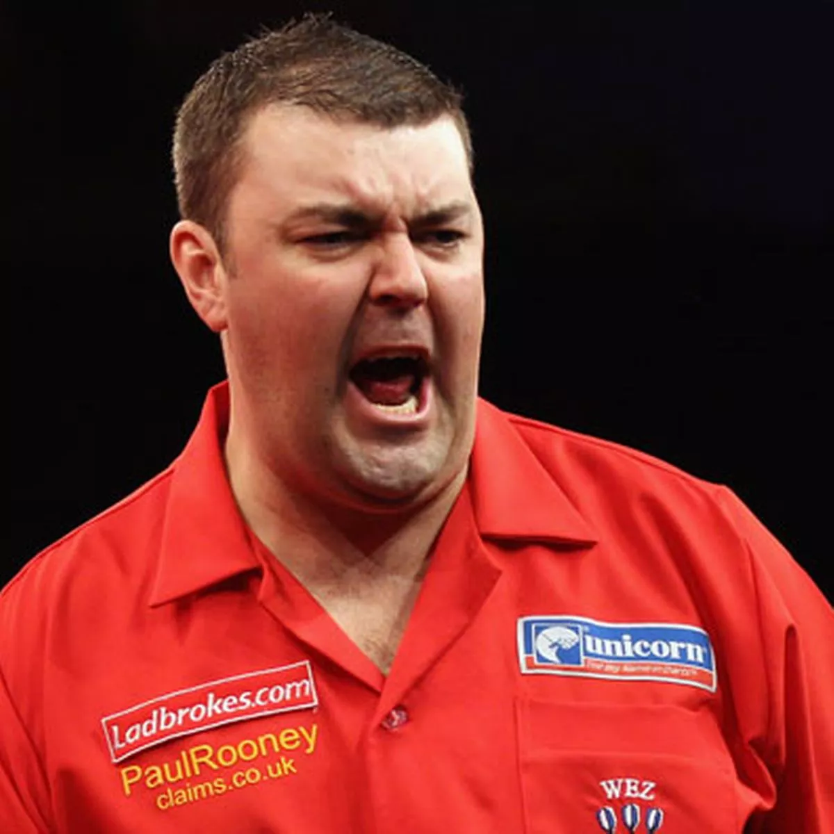 Wes Newton stats
