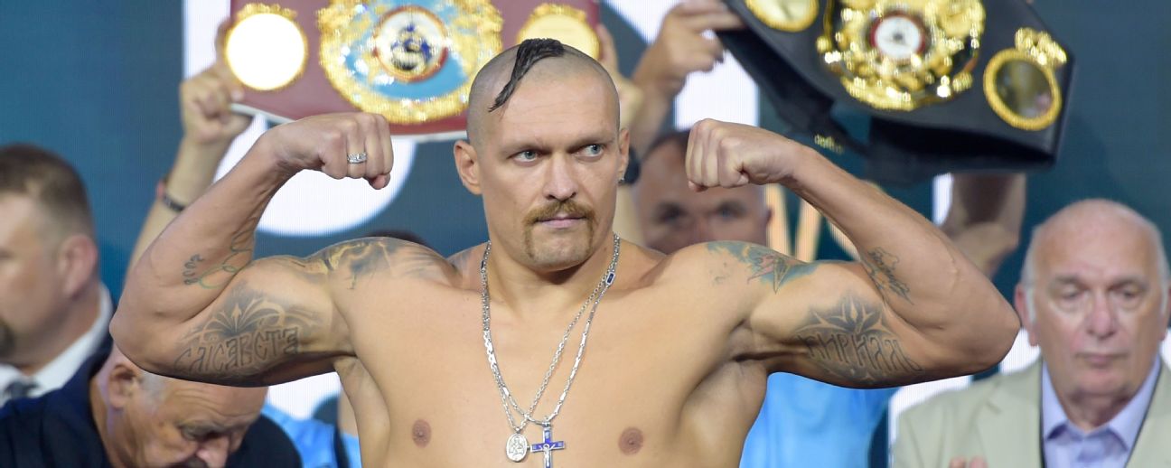 what belts does usyk have 0019