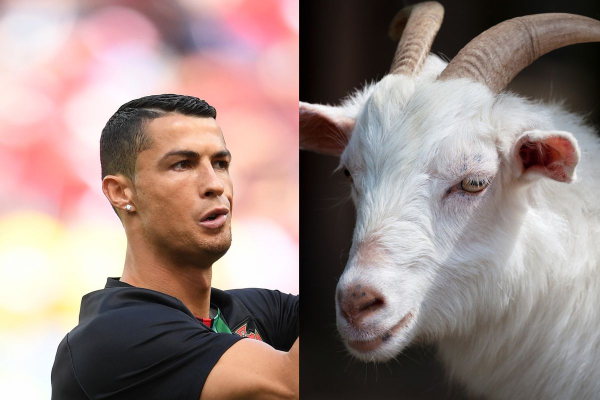 what does ronaldo look like right now 0048