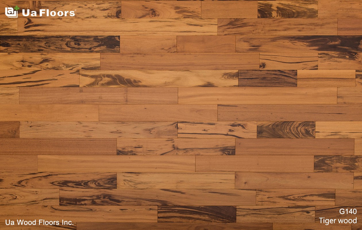 what does tiger wood look like 0013
