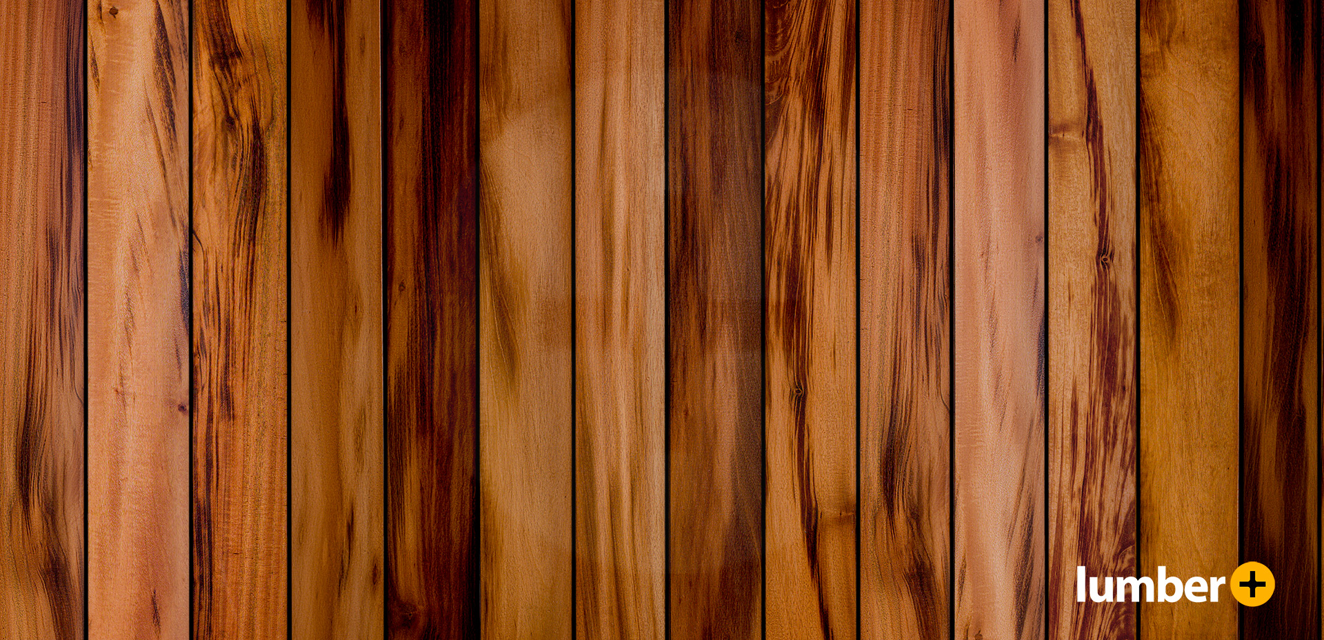 what does tiger wood look like 0015