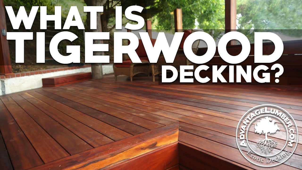 what does tiger wood look like 0017