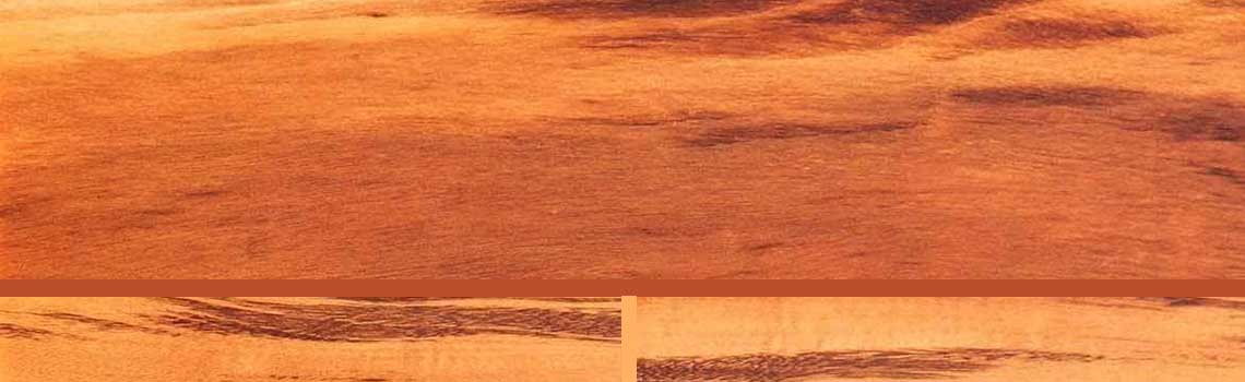 what does tiger wood look like 0026