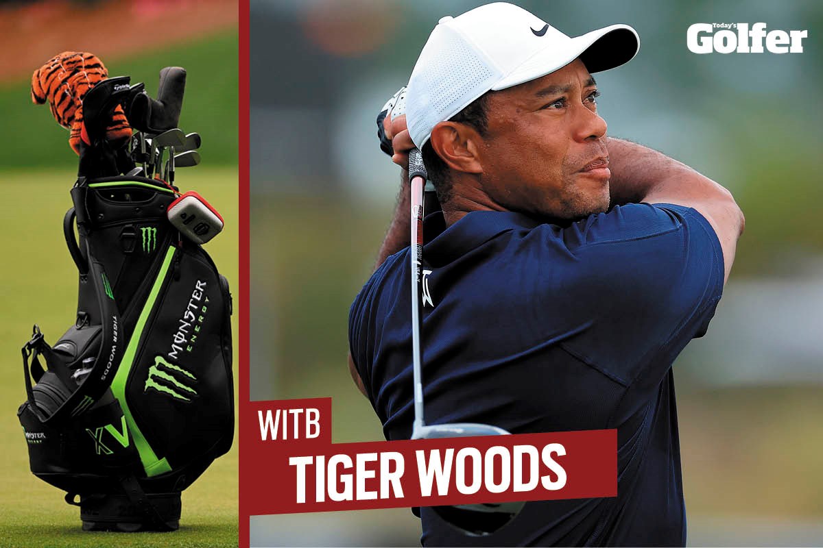what does tiger wood look like 0037