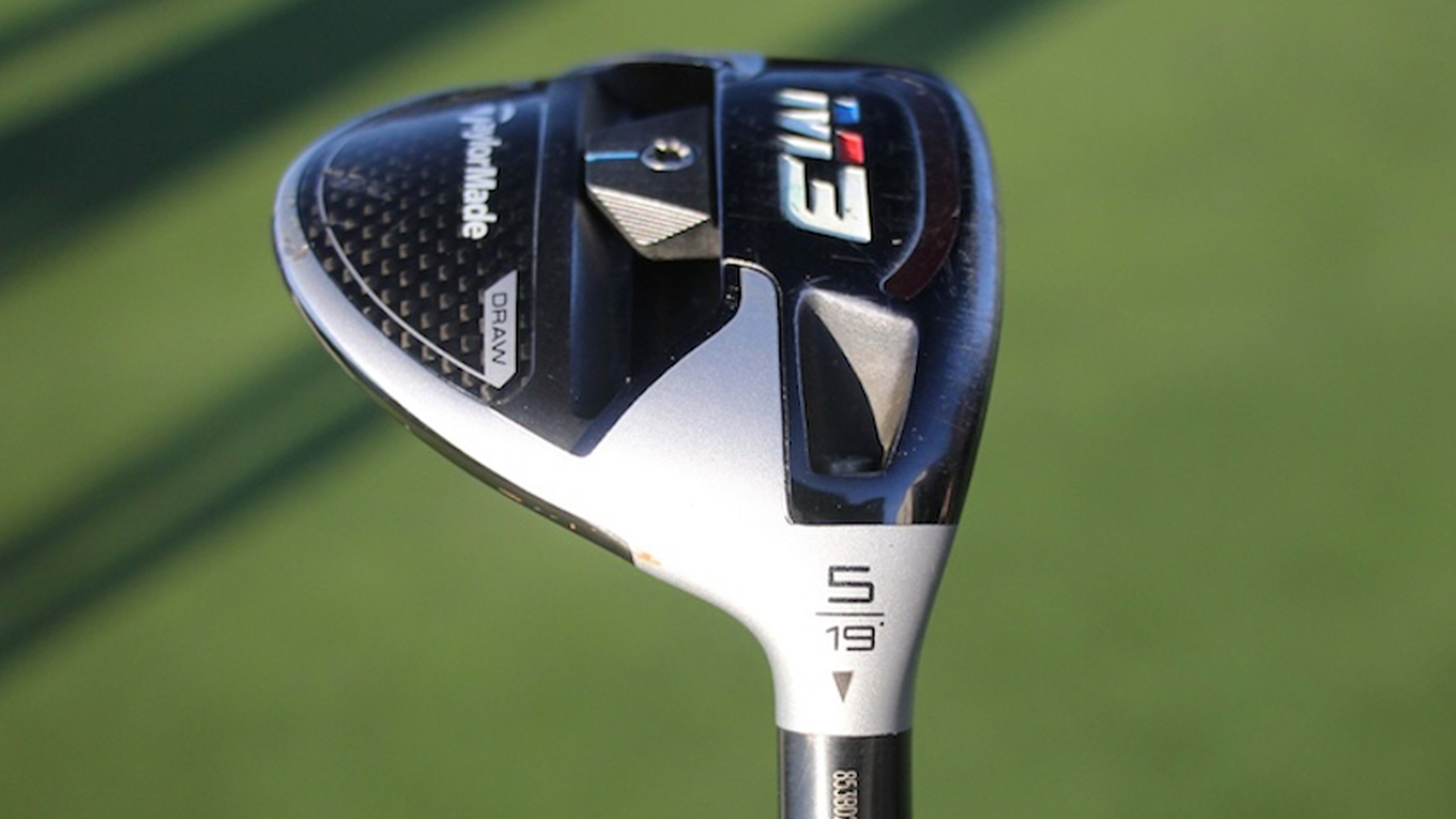 what does tiger wood look like 0040