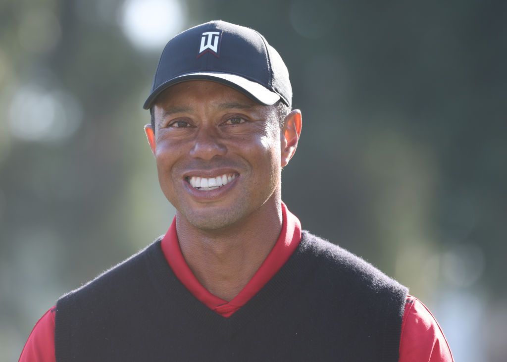 what does tiger wood look like 0041