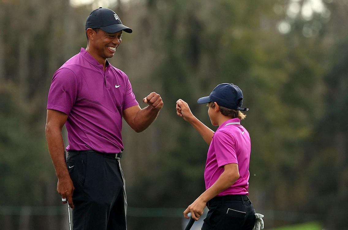 what does tiger wood look like 0045