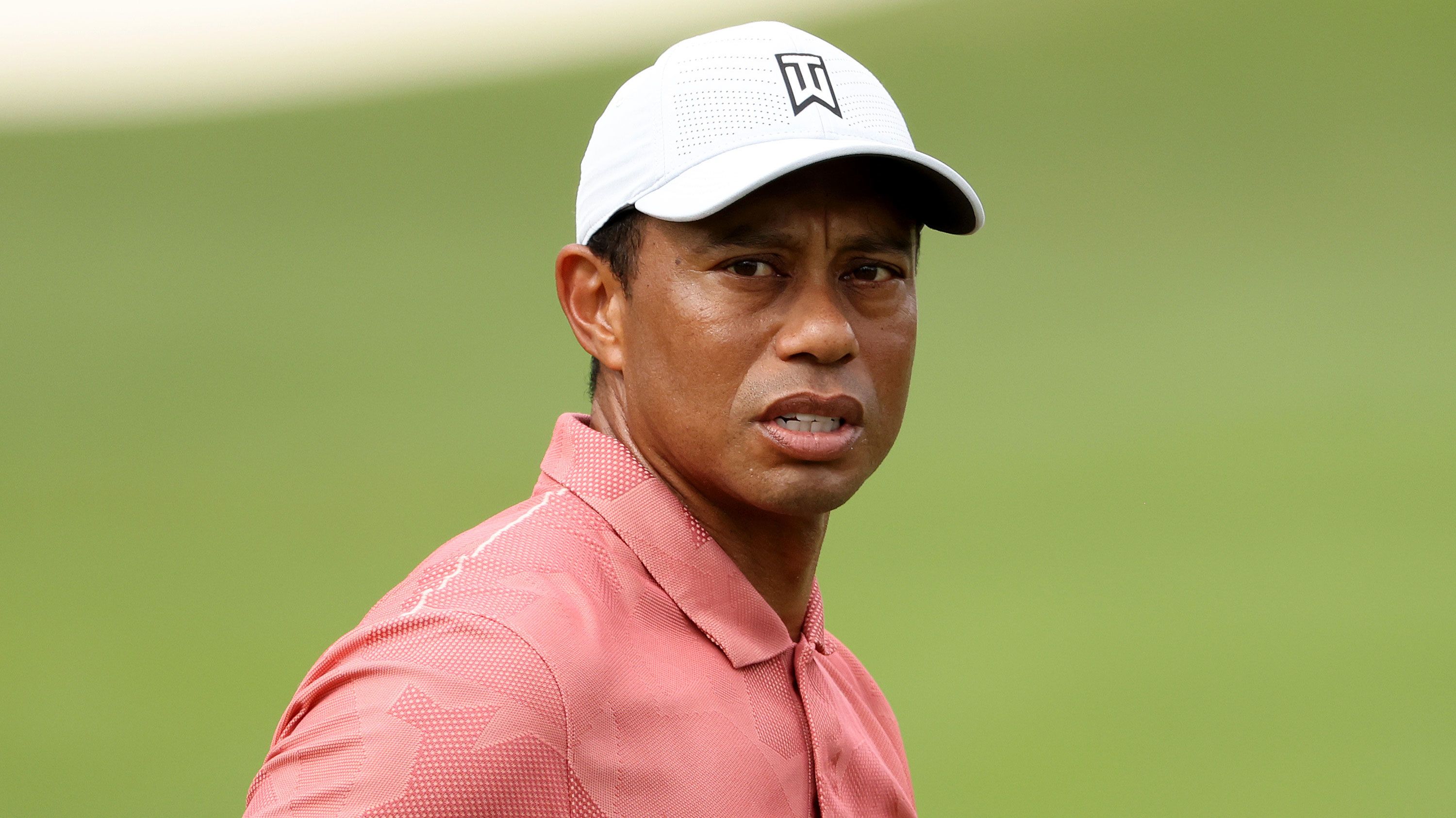 what does tiger wood look like 0046