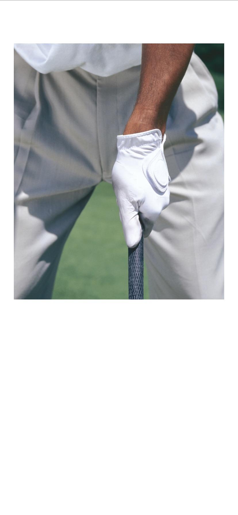 What grips does Tiger use 0010